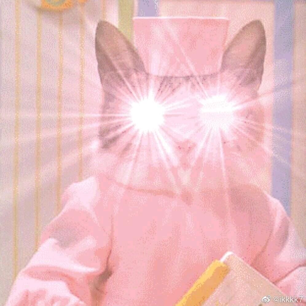 苑木木木木子呀