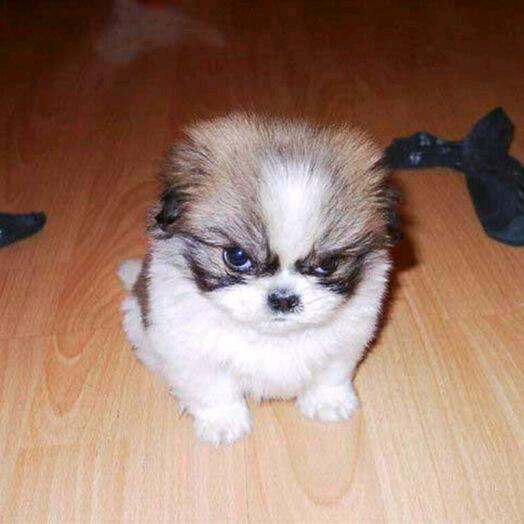 我不会在等你了