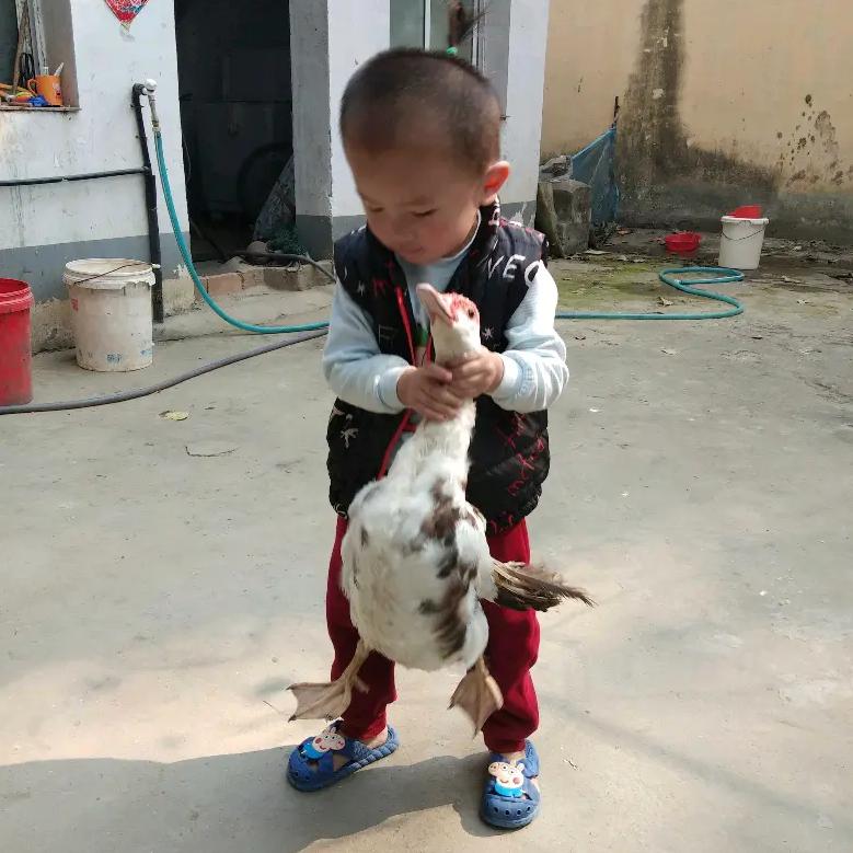 神的宝贝(互)