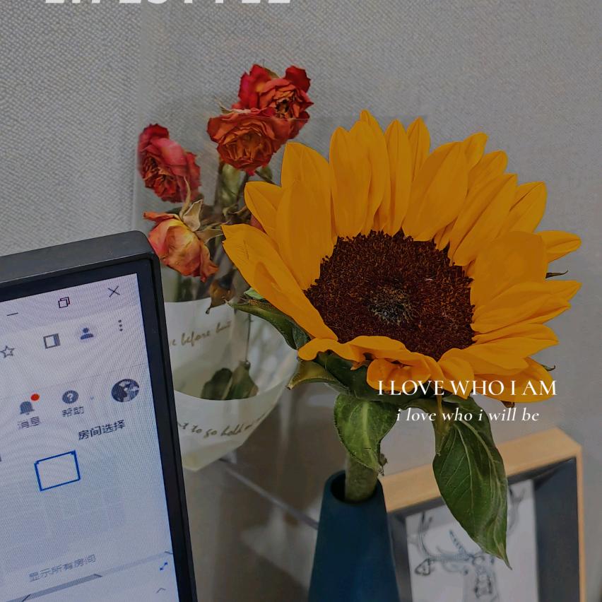 中天怡家全屋定制