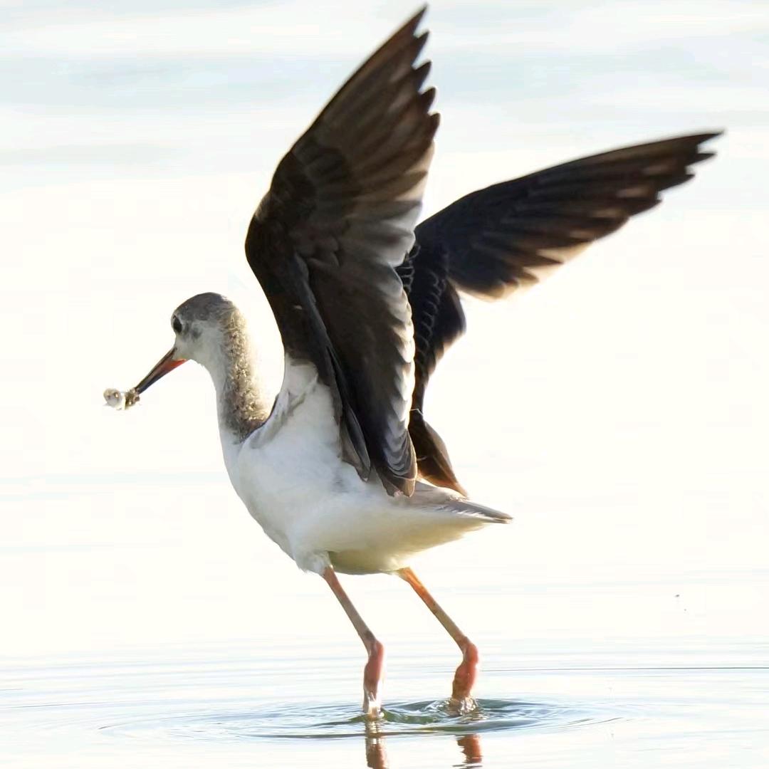 ☁️相濡以沫☁️