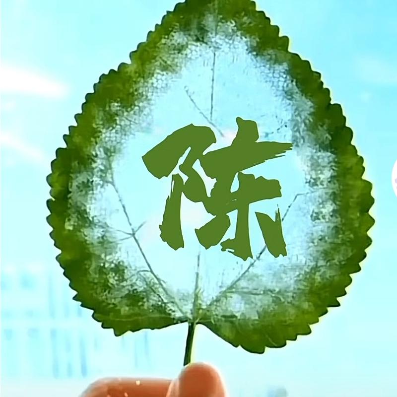 芳姐30