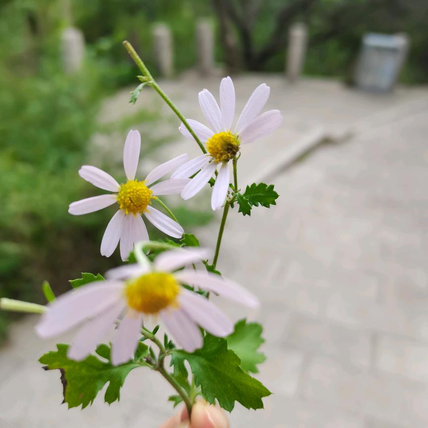 小暖家羽绒服断码严选店