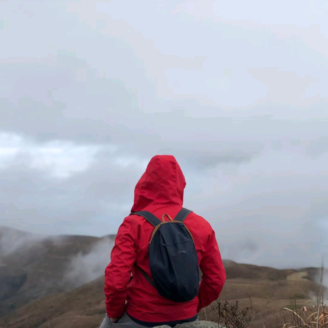 韦存龙