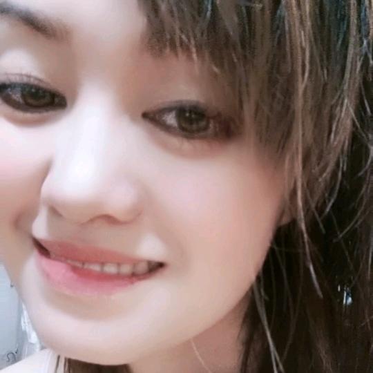 琴 （文明互动👈）