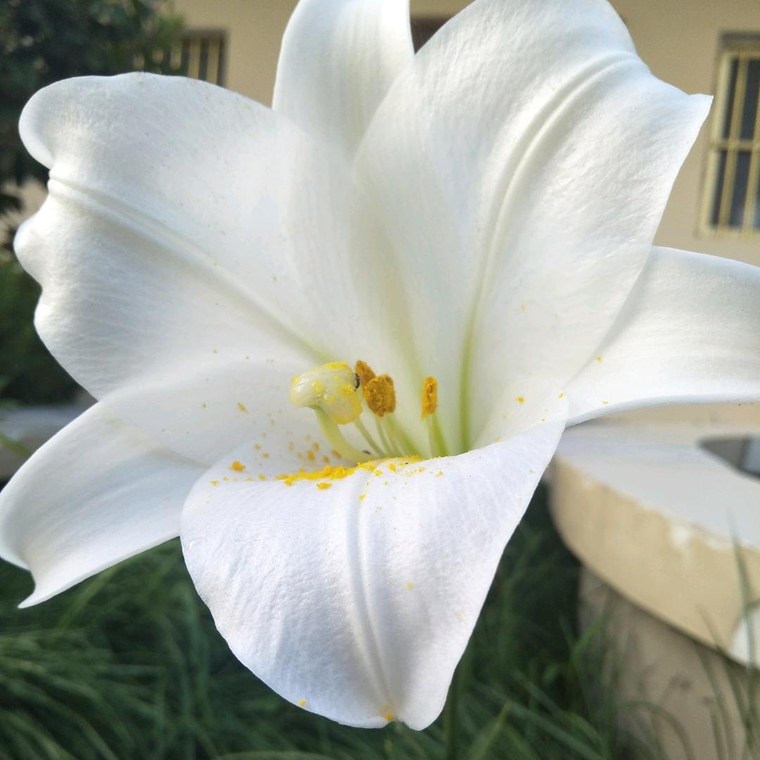 悠闲一生