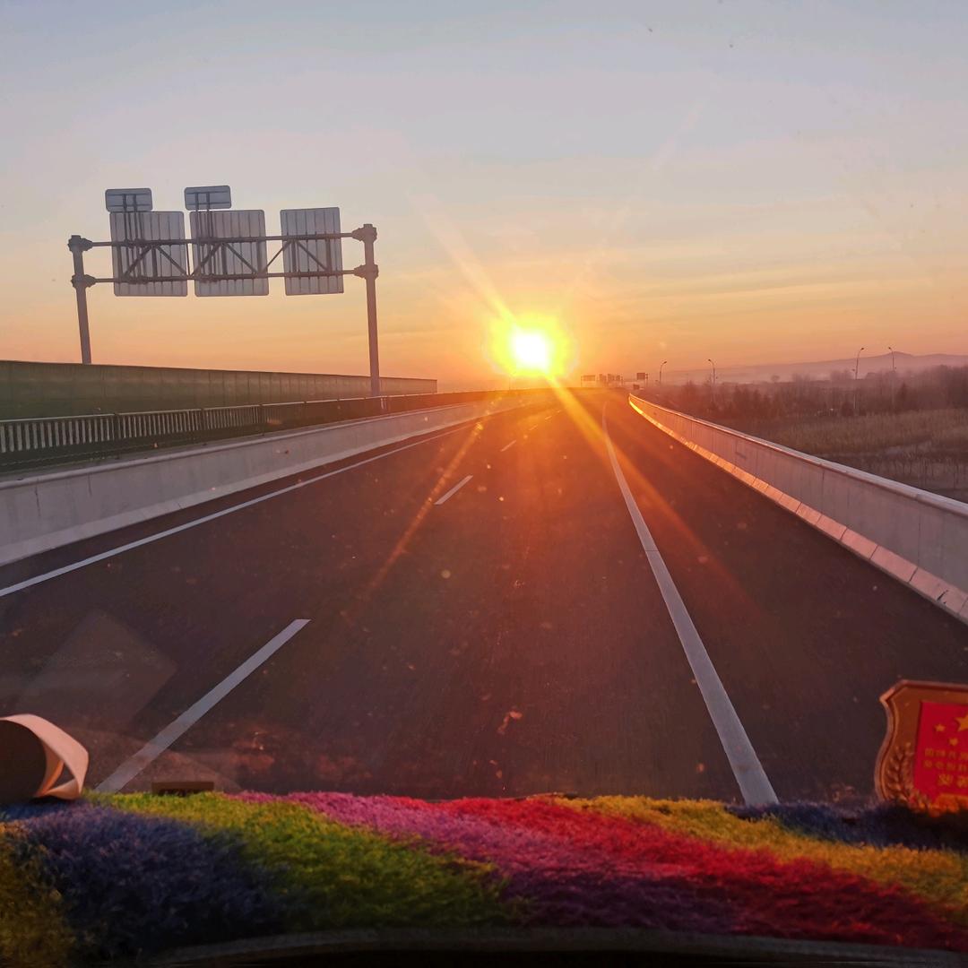 种葡萄的葡萄哥