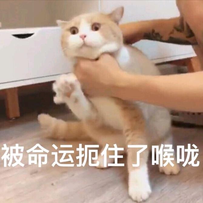 宽城区华载信息咨询