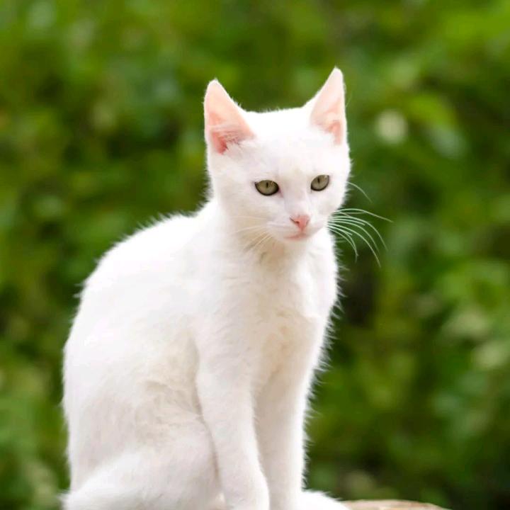 小雯雯