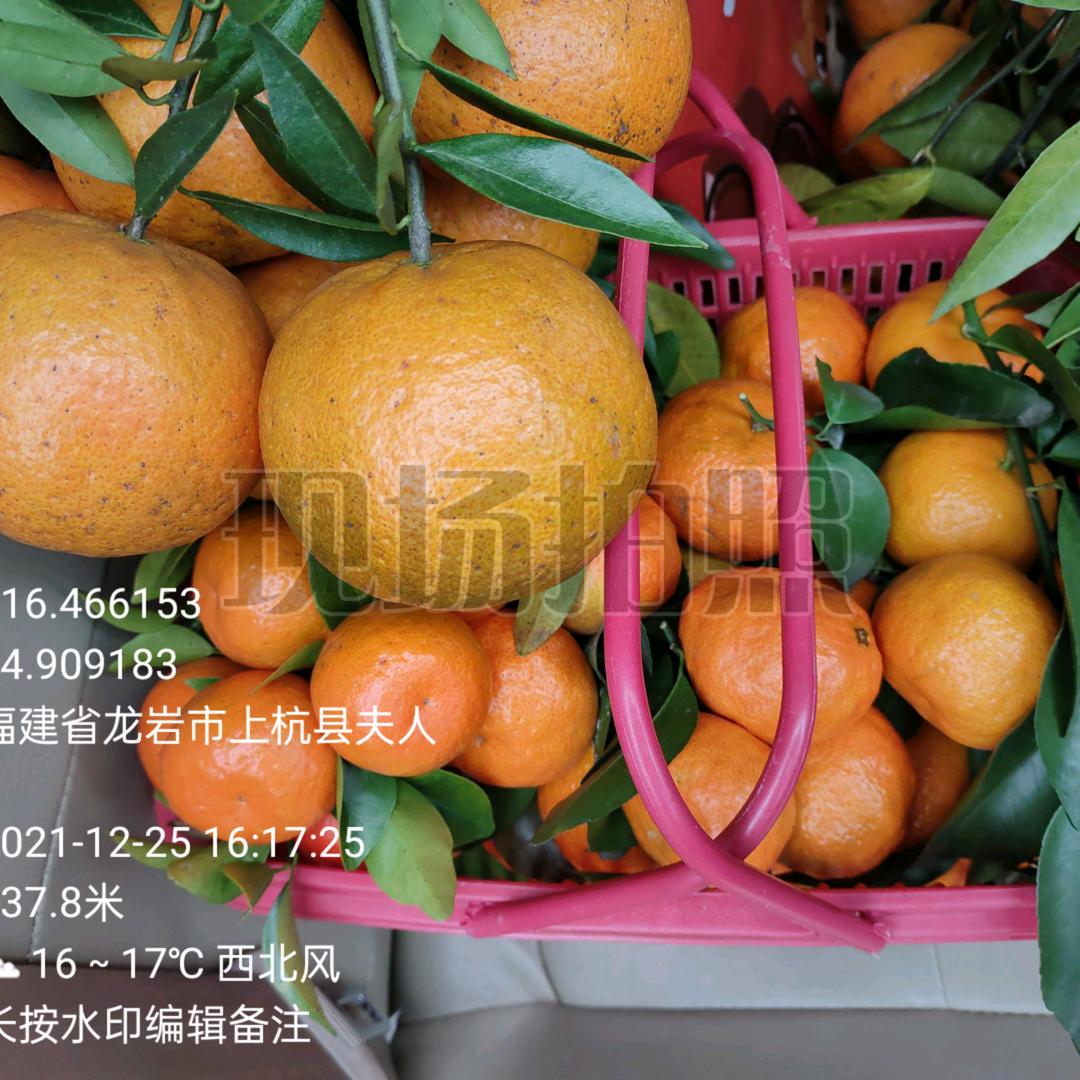 中丘哥
