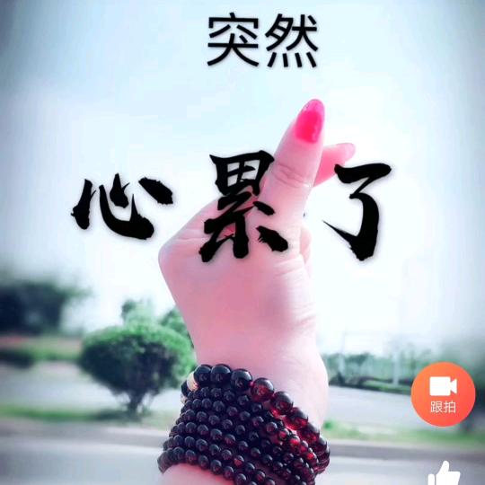 🍒一帘幽梦🍒