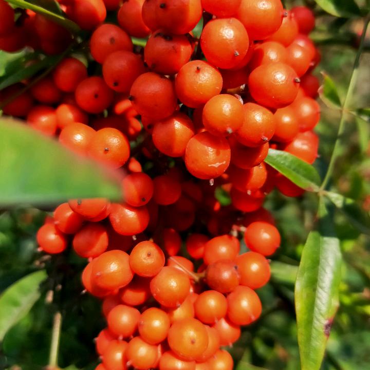 JEAN～ 两个乖宝宝