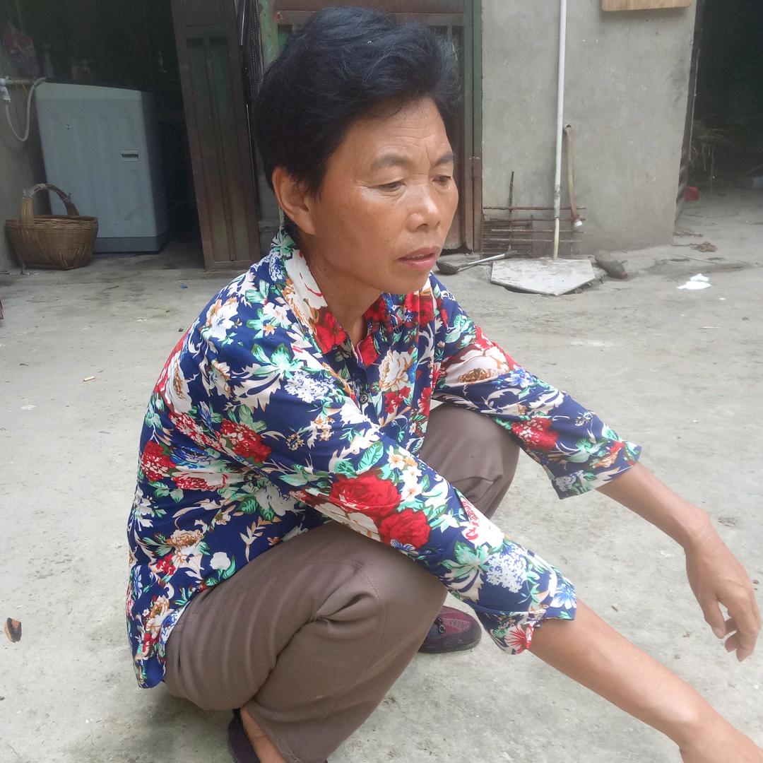 三婶讲道理