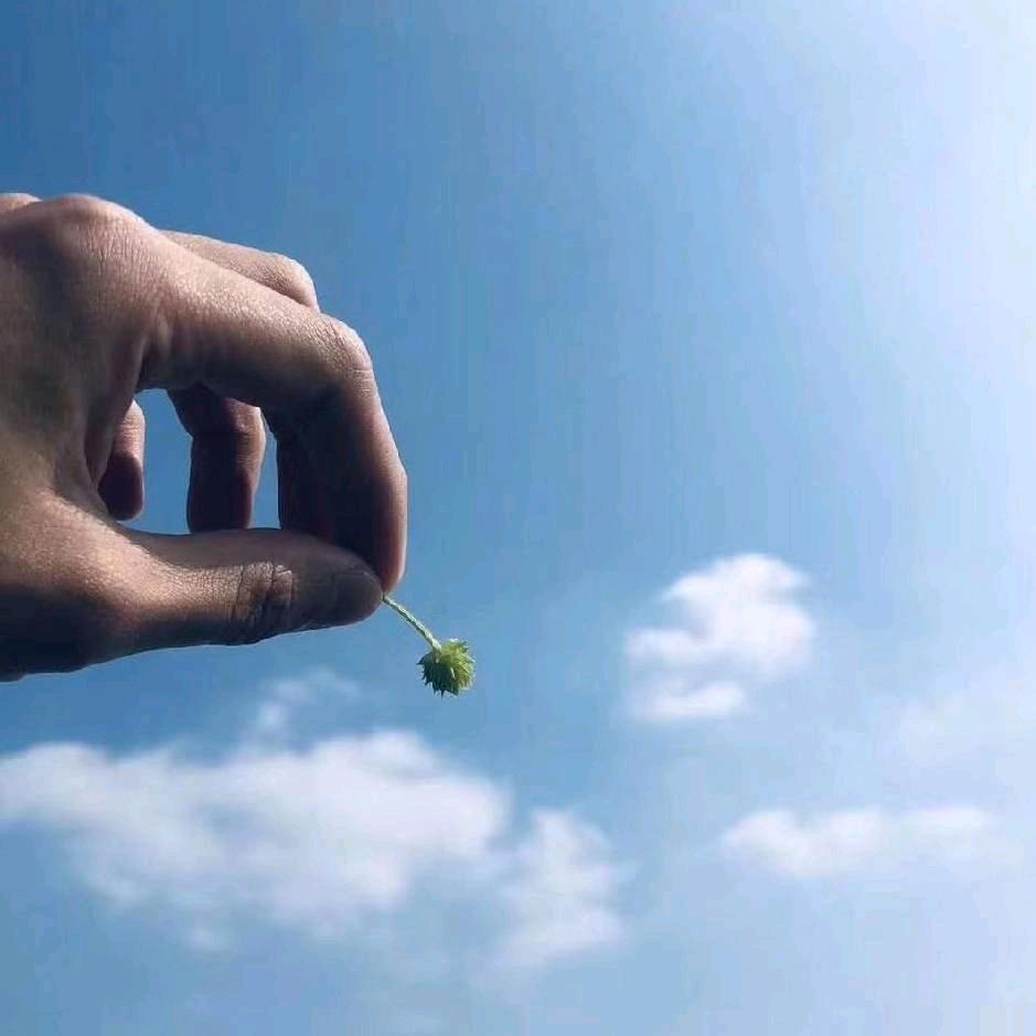 祉猷并茂✨