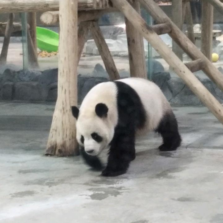 呜呼拉呼