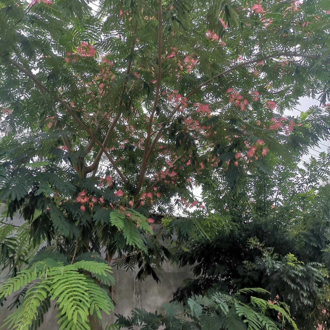 做个最好自己