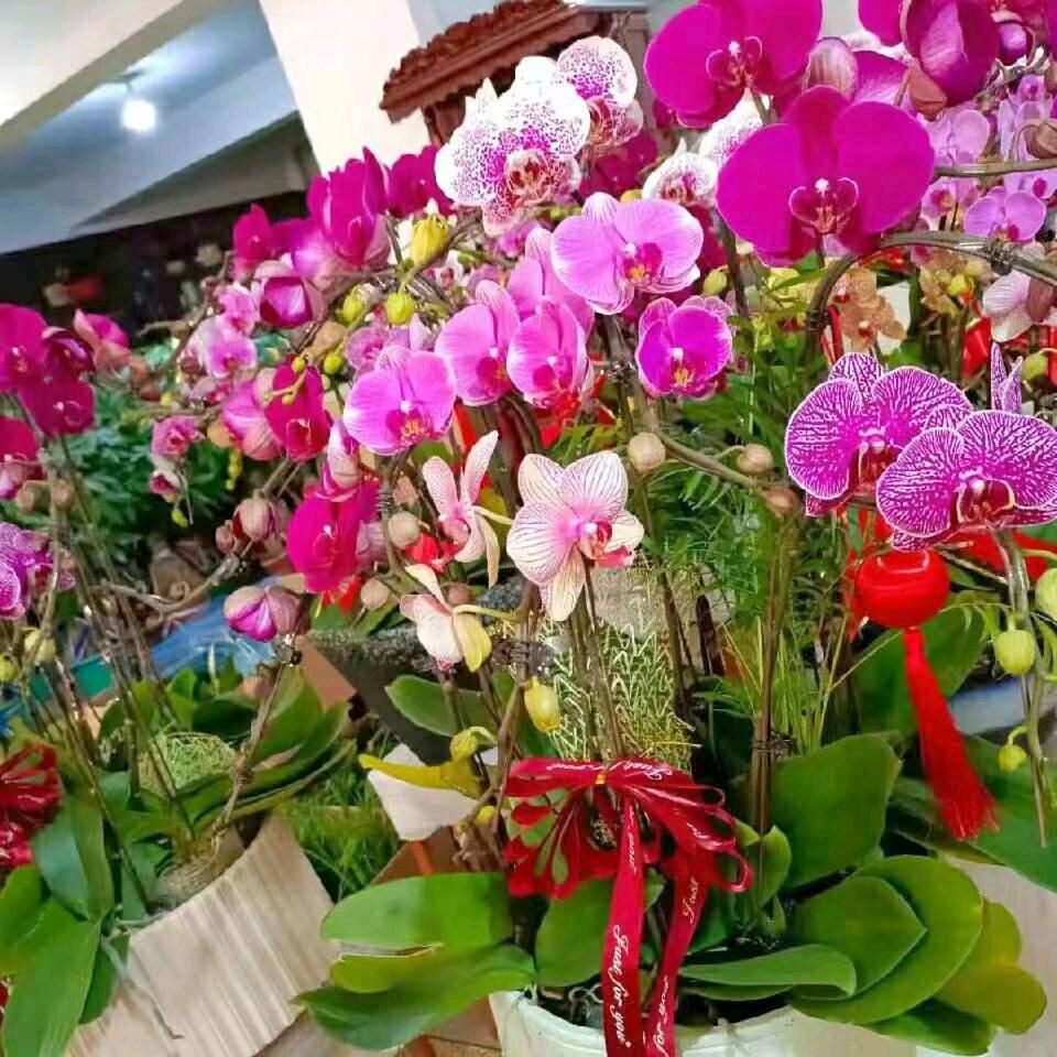 孙连福