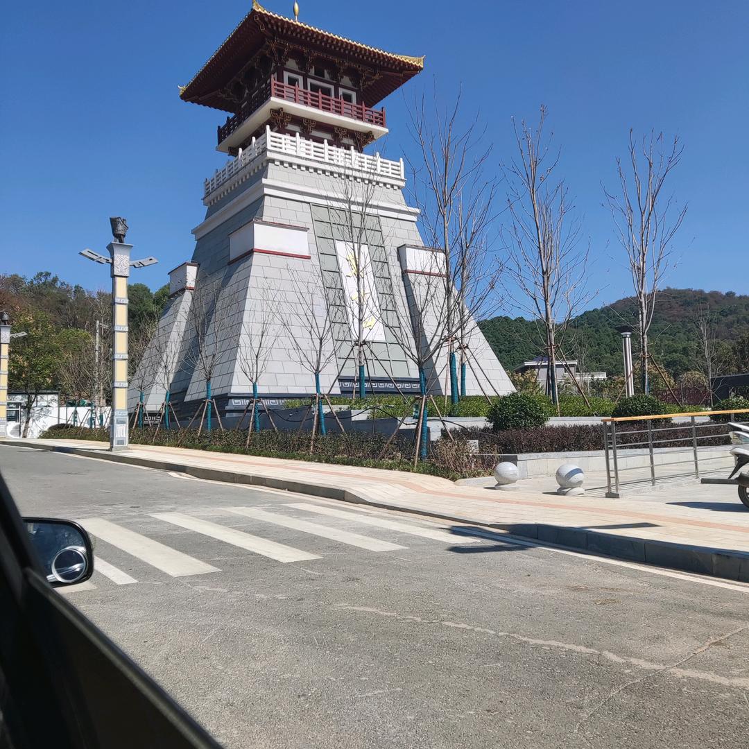 板栗宝宝