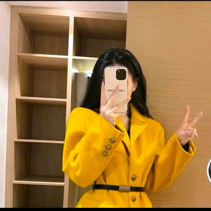 ✨刘小双💋