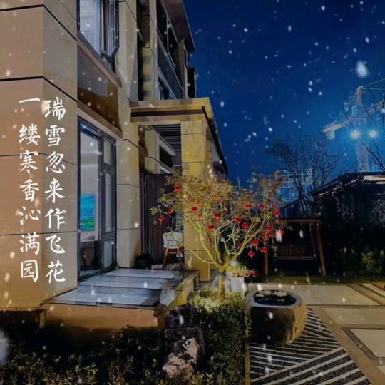 文一老师