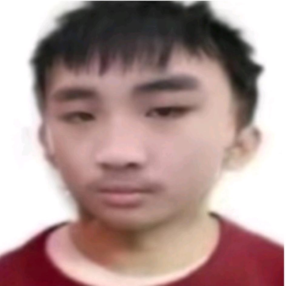 我不会去（收藏）