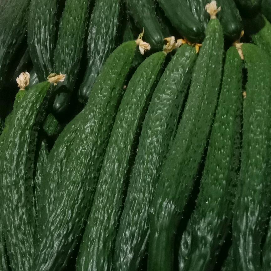 新鲜蔬菜。
