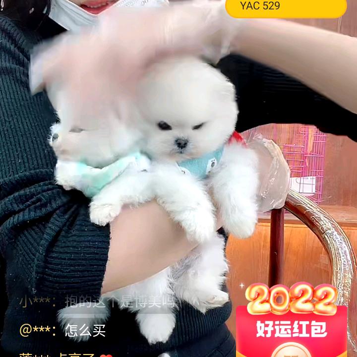 霸气大姐