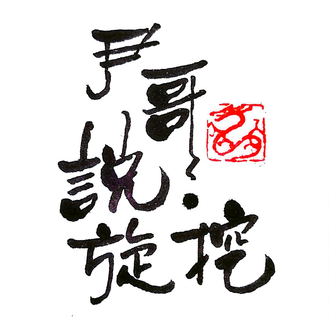 尹哥说旋挖