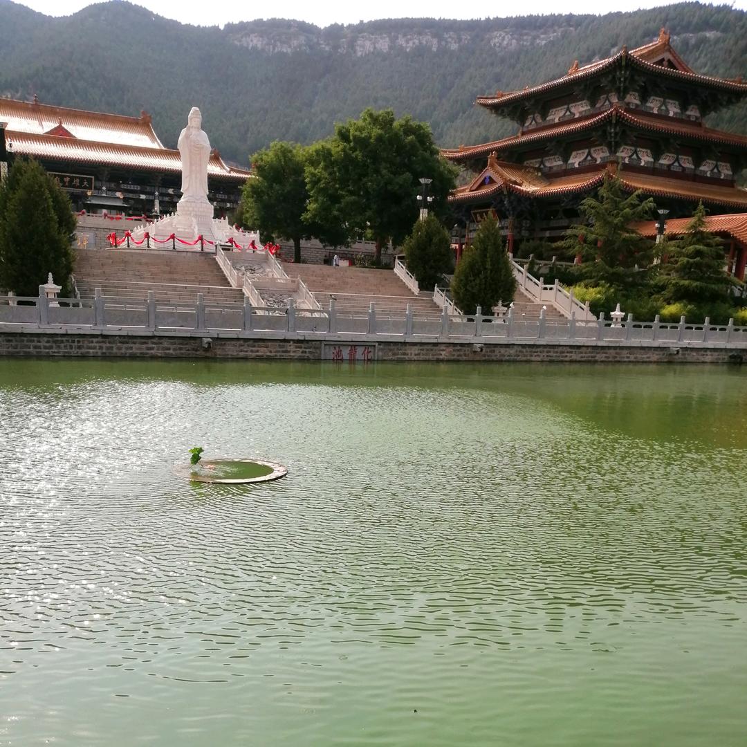 轩辕苹果（宜君，黄陵，洛川苹果翡翠梨代办