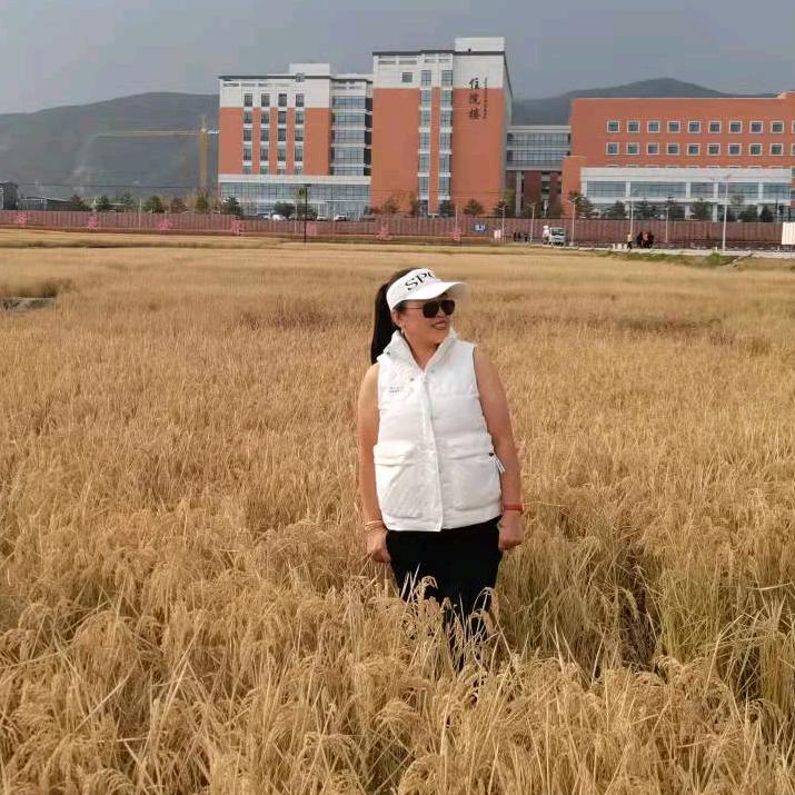 小马