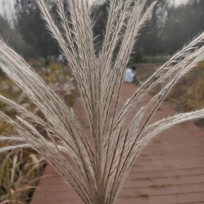 唯衣选择