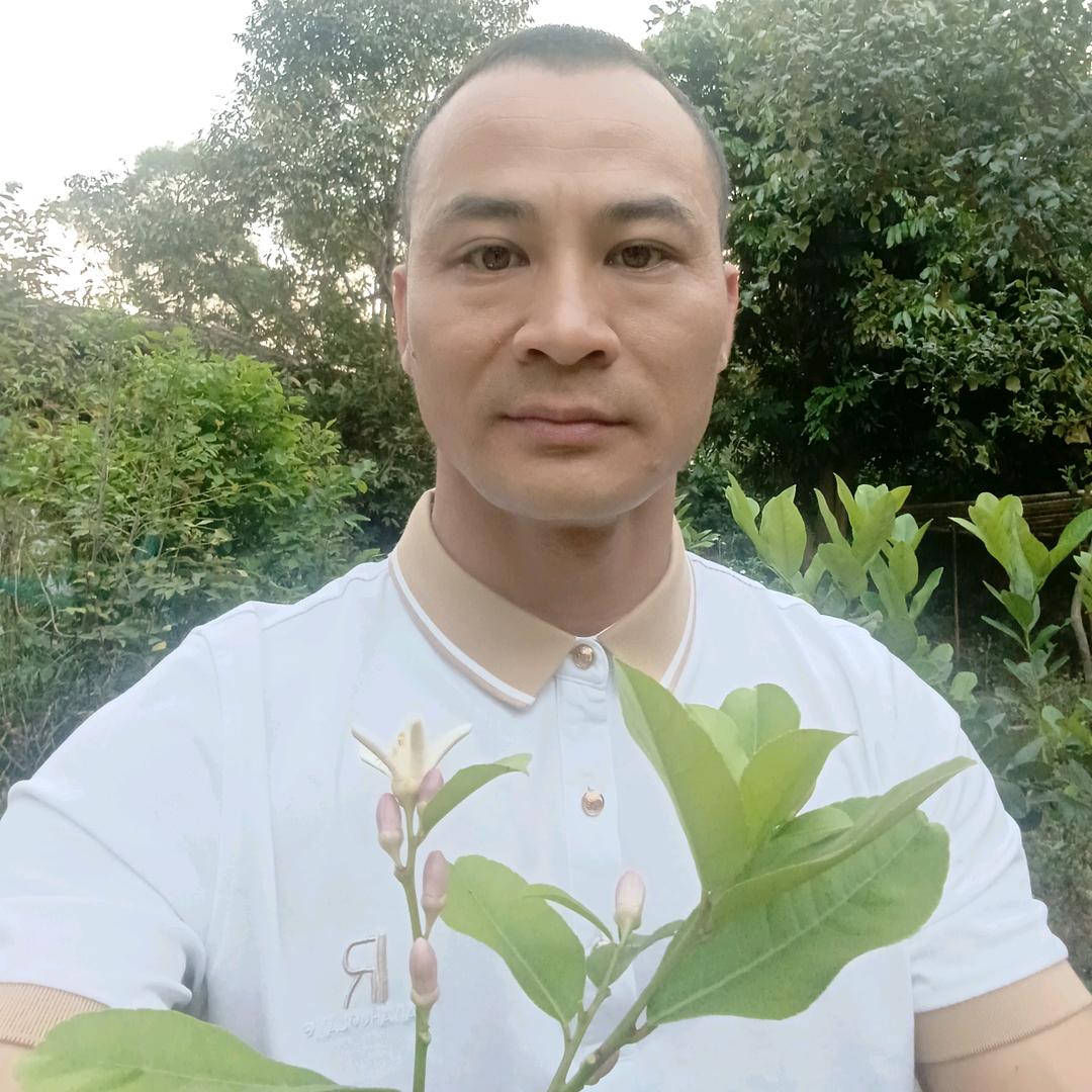 李氏柔性正骨~~（收徒）