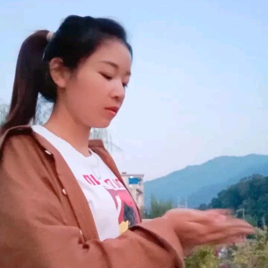 小燕子