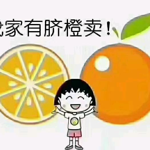 伦晚橙(杨)