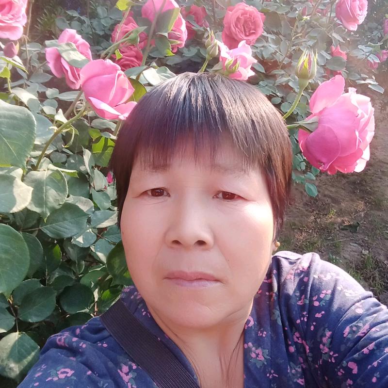 黄金，皇冠梨云💋