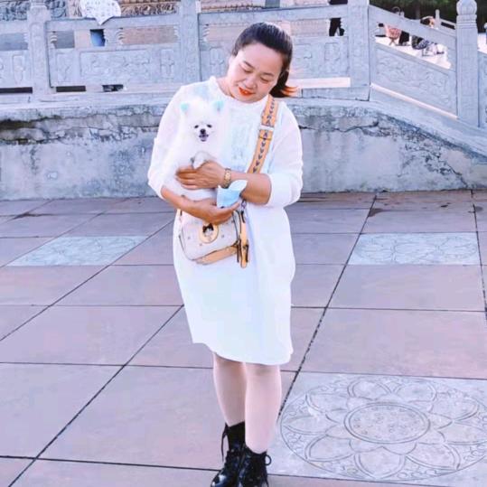 凤姐演艺🎻🎤