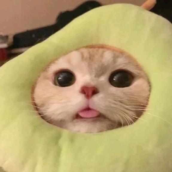 索索