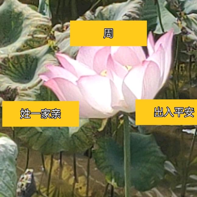 欢喜就好。