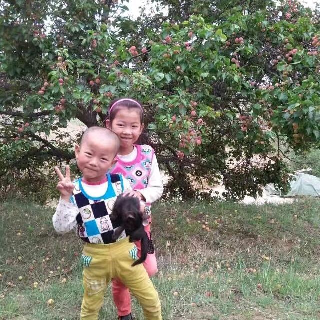 用户温柔的女人