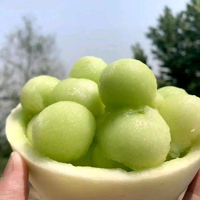 爱吃鸽胗的莲王头像