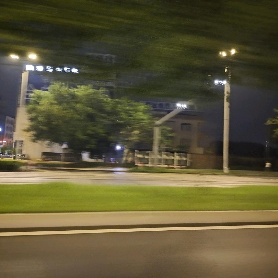 柳叶下忧伤很谈