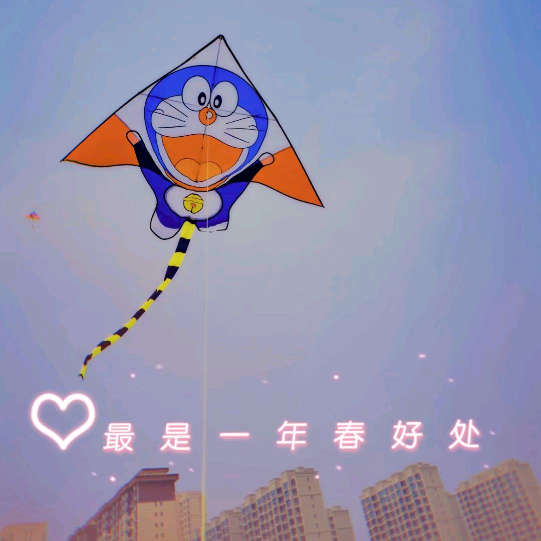 🍋土包进城