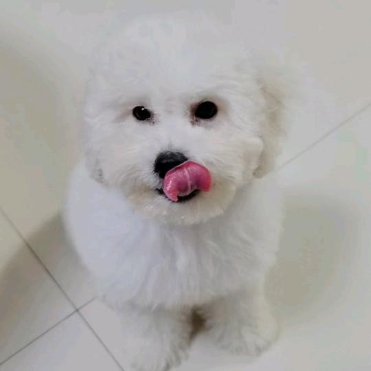 一个菜鸡丶