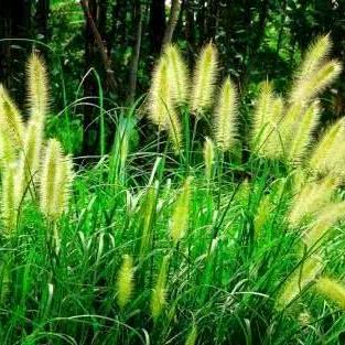 人生因你而精彩