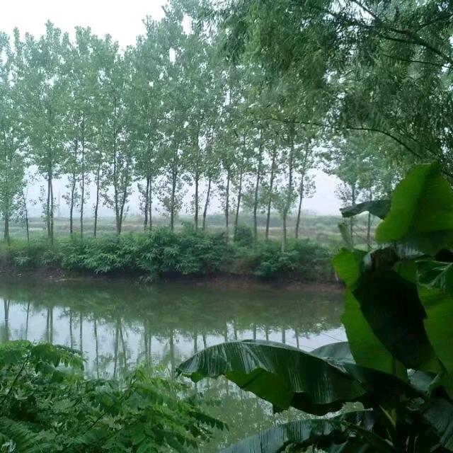 小芬