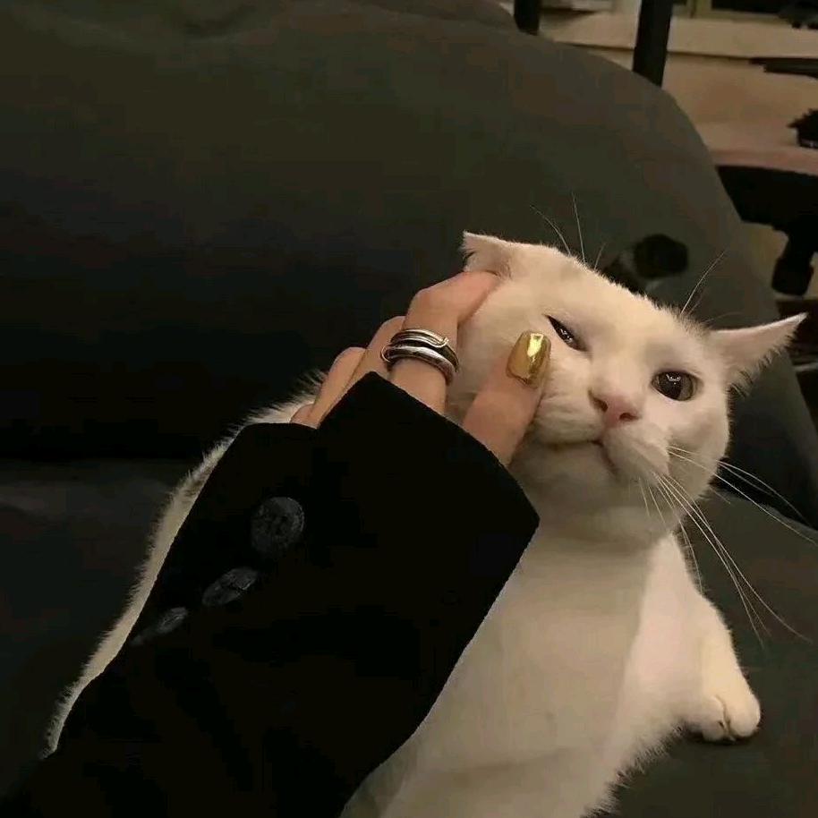 🥤沅汽水🥤