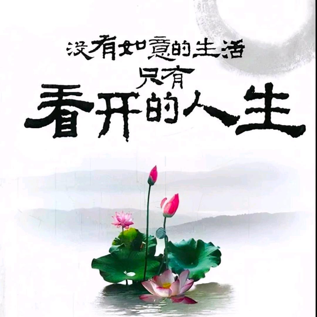 骆驼影视