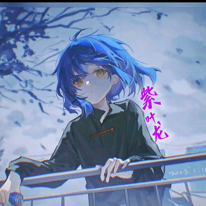 紫叶龙（每日一红）