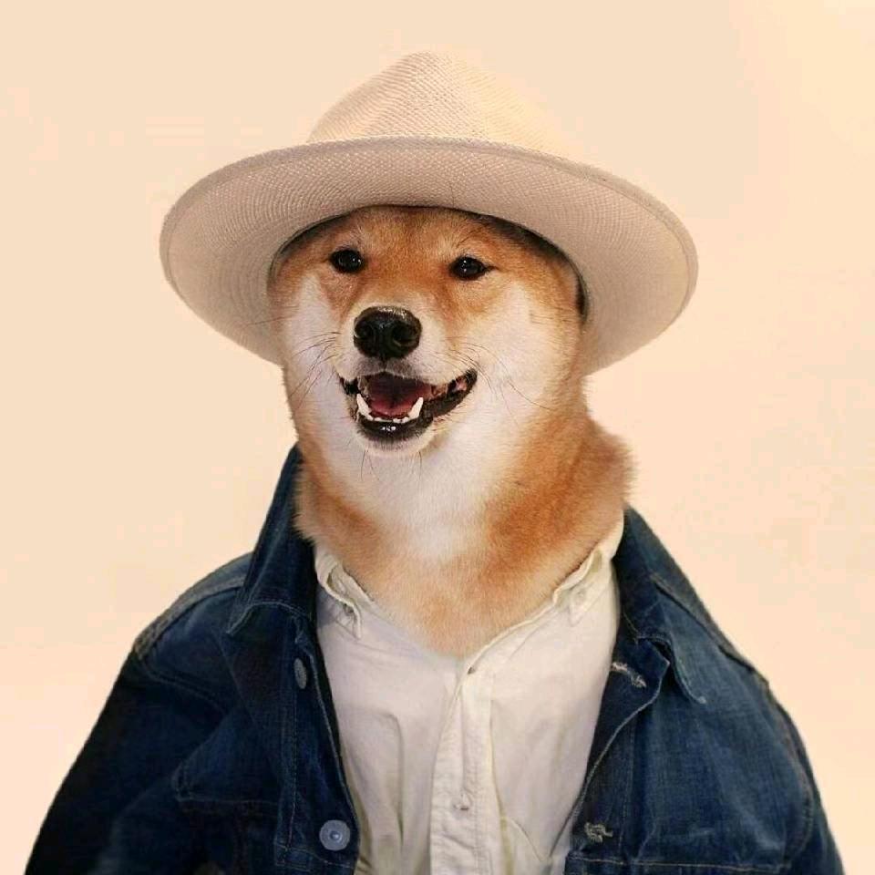 十二 ᅟᅠ        ‍