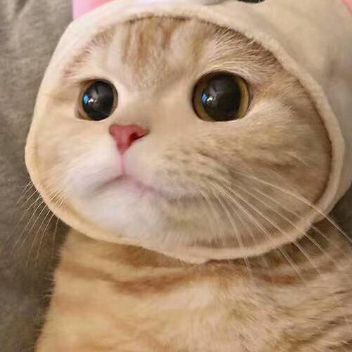 丹身情歌